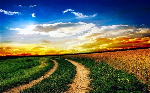 人生的路要自己走说说 路是自己选的的经典话